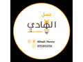 aasl-alhady-small-2